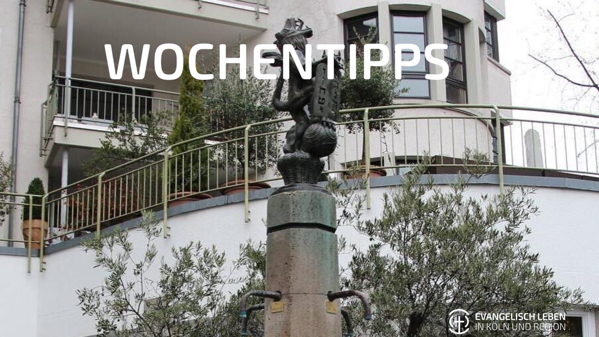 Mehr über den Artikel erfahren Wochentipps: Gebetswoche der Christen, Gedenken am Löwenbrunnen und Karneval