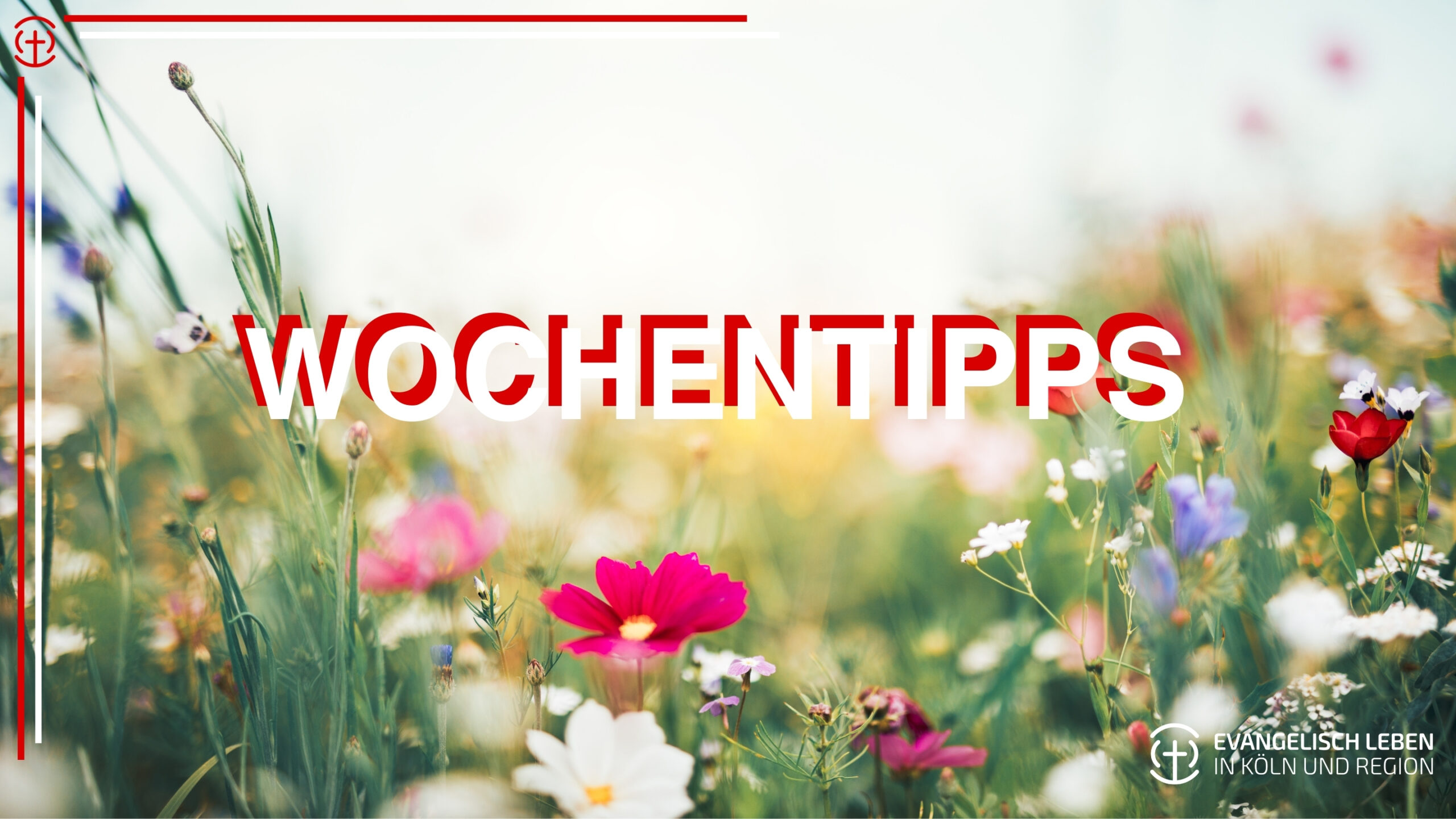 Du betrachtest gerade Unsere Wochentipps: Sommer-Lesung im Garten, Oriental Sounds, englische Chormusik