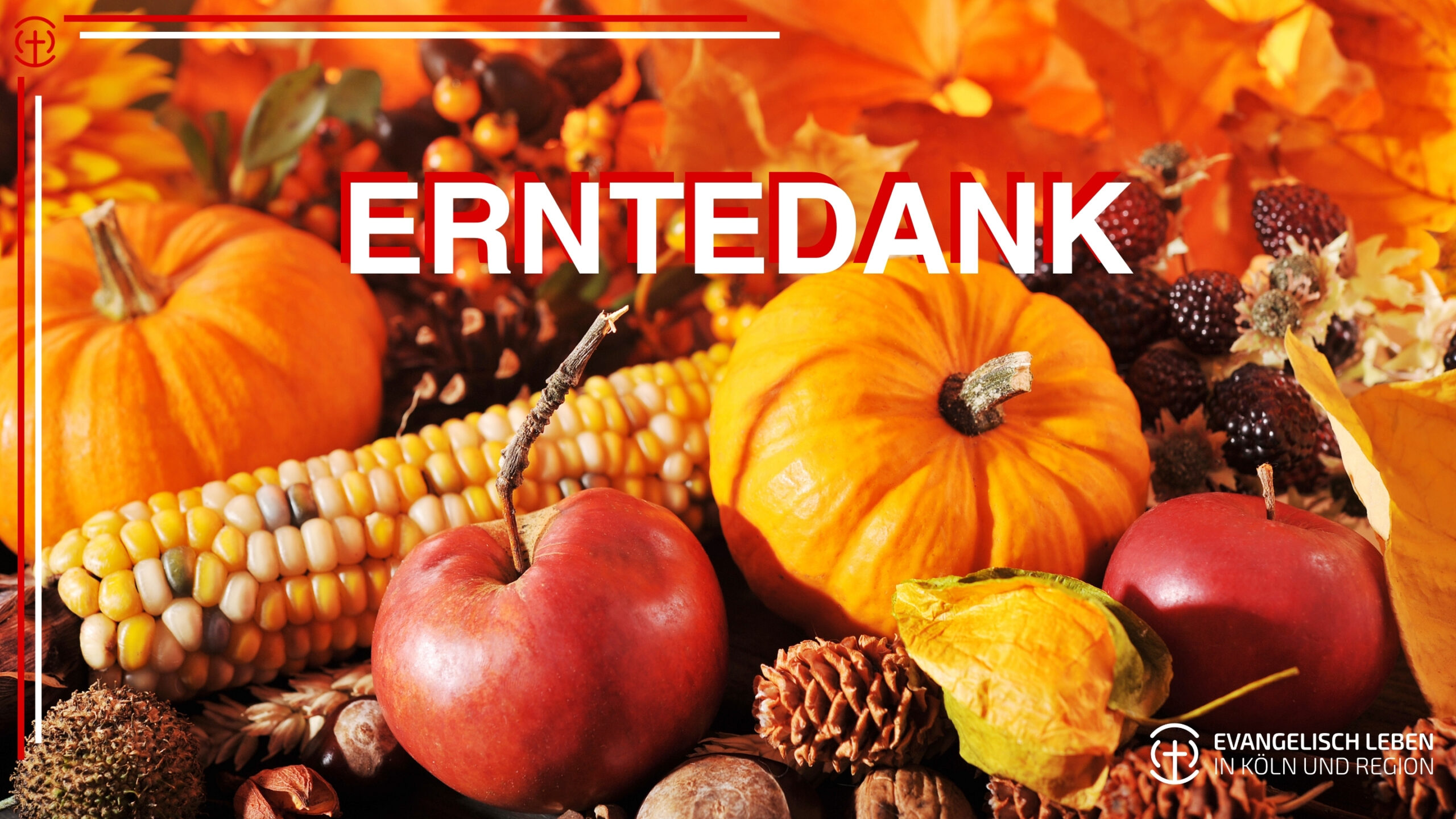 Du betrachtest gerade Mitfeiern: Erntedankfest in den evangelischen Kirchengemeinden Kölns
