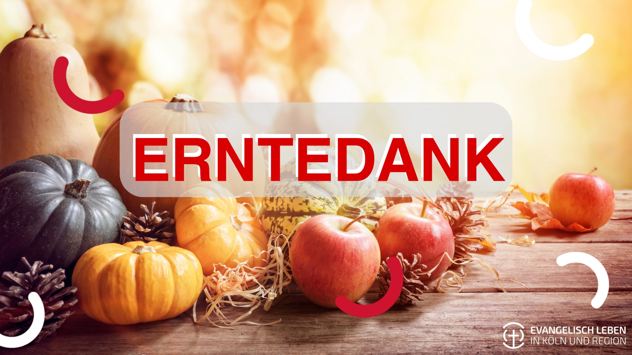 Mehr über den Artikel erfahren Mitfeiern: Erntedankfest am 5. Oktober in den evangelischen Kirchengemeinden Kölns